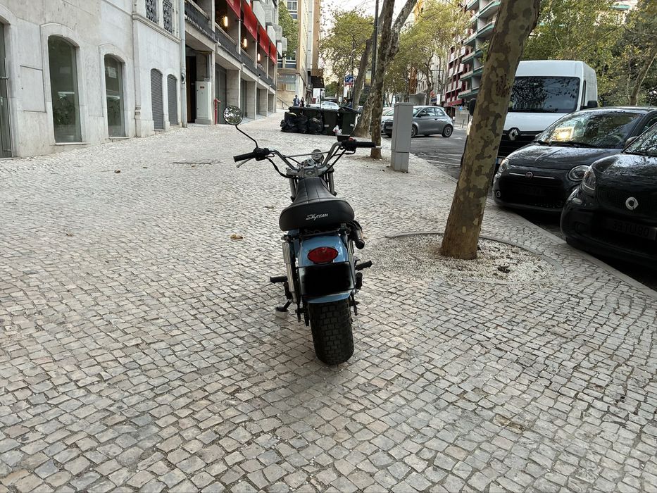 Skyteam Trex 125