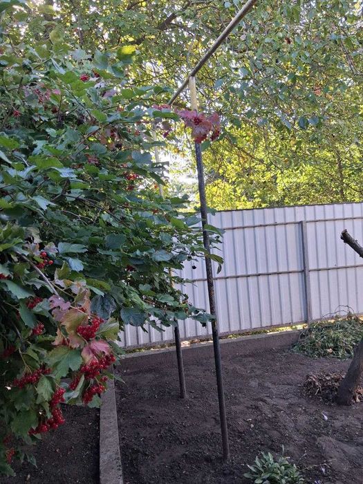 Будинок, с. Леськи