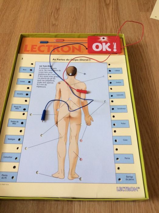 Jogo Letron corpo humano