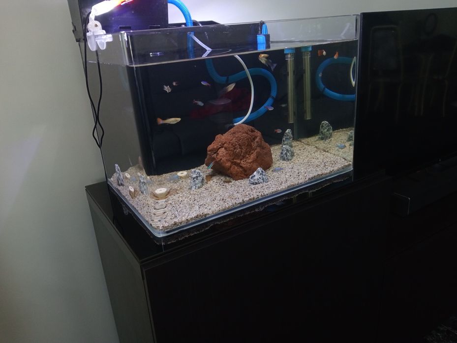 Aquário 55 Litros
