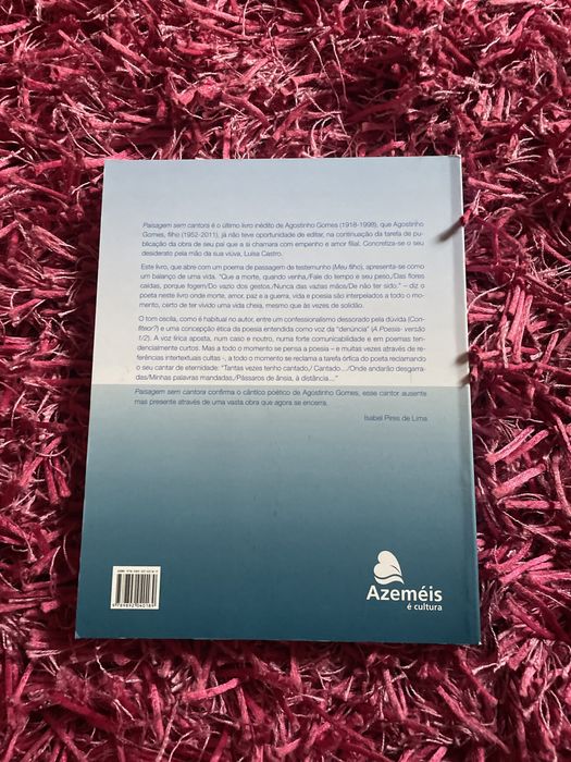 Livro “Paisagem sem moldura”