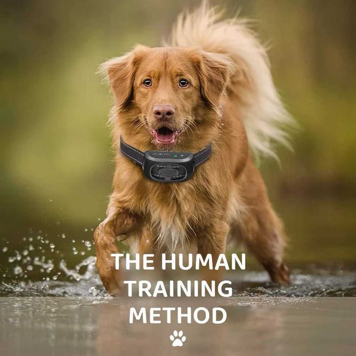 ОШейник Анти лай Pedono Q20A