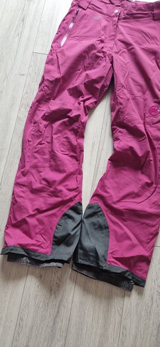 Mammut  L.        .
