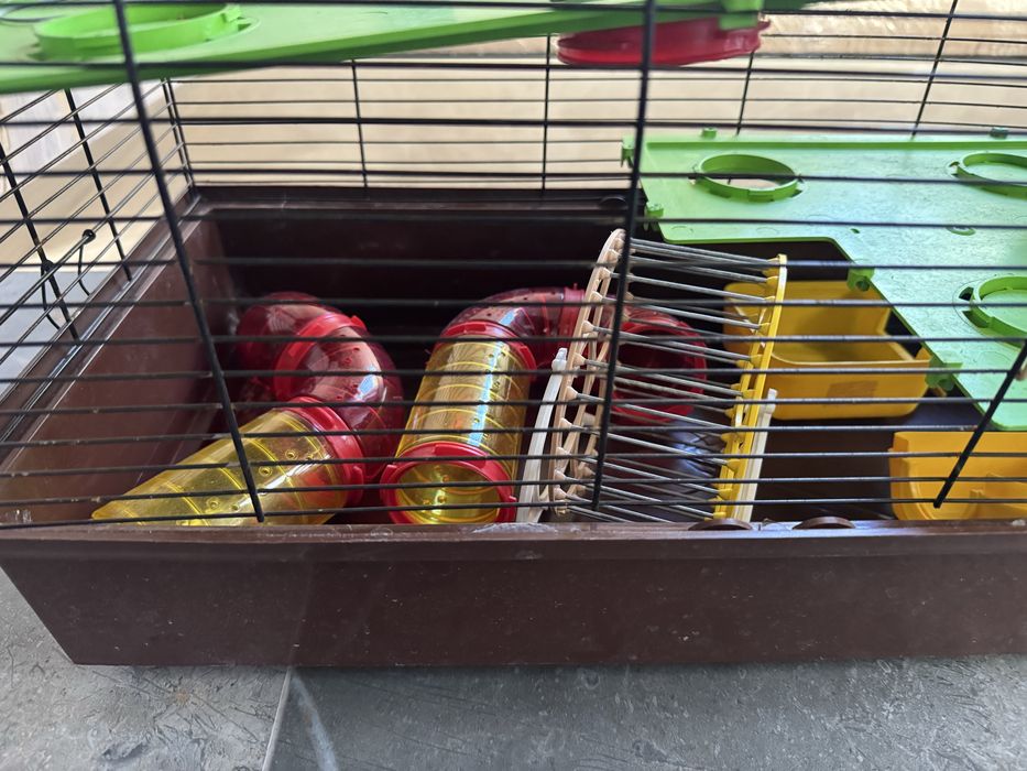 Клітка для хомʼяків