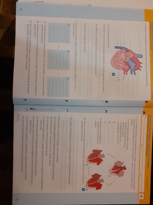 Caderno Atividades e manual VIVA A TERRA Ciências 5º