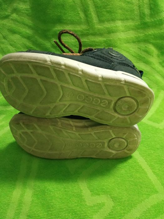 Ботинки сапоги Ecco