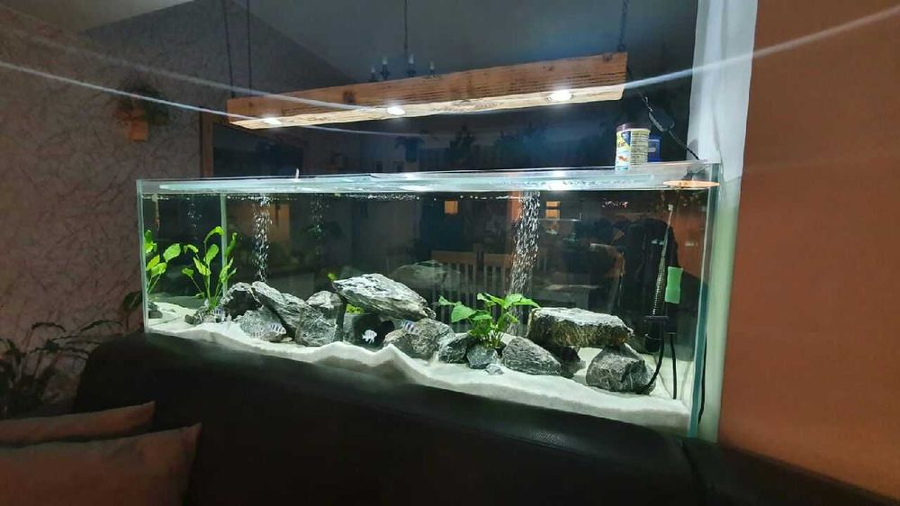 AKWARIUM Proste 120x50x50 300 Litrów