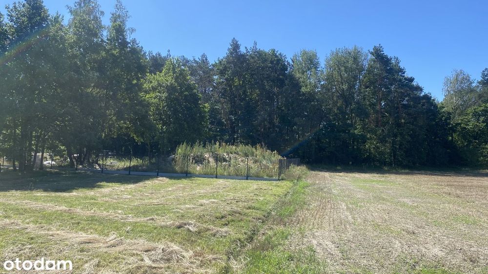 Działka budowlana 2000 m² w cichej okolicy - Widok 5