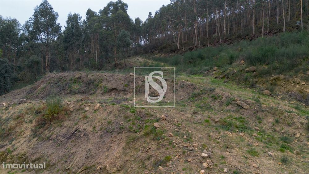 Terreno  Venda em Vandoma,Paredes