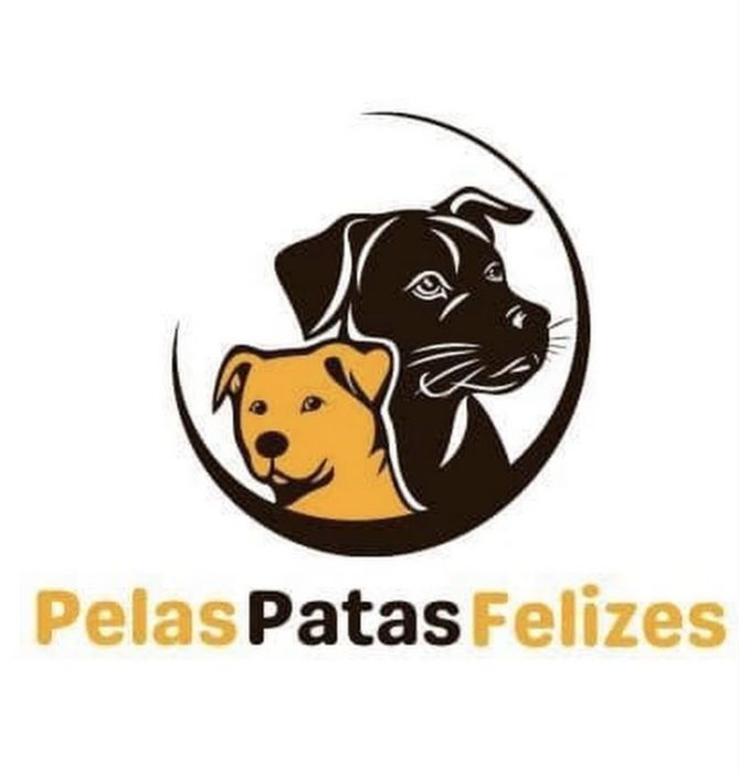 2 gatinhos disponíveis para adoção responsável.