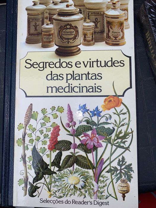 Livros variados novos