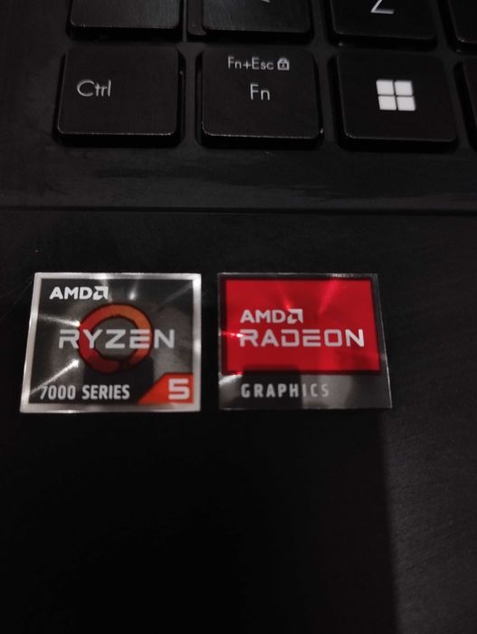 Asus Vivobook Go 14/15