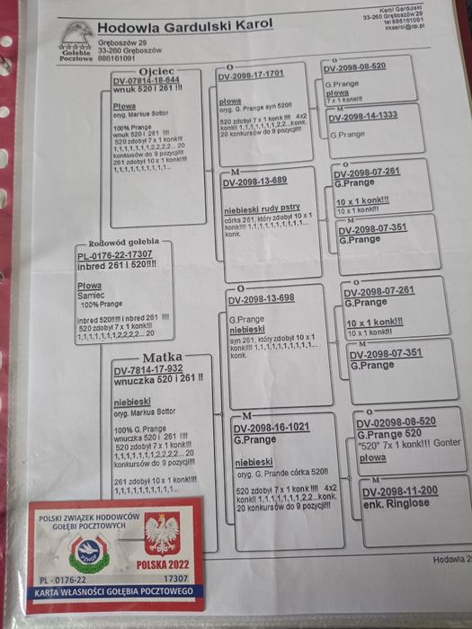Redukcja rozpłodu