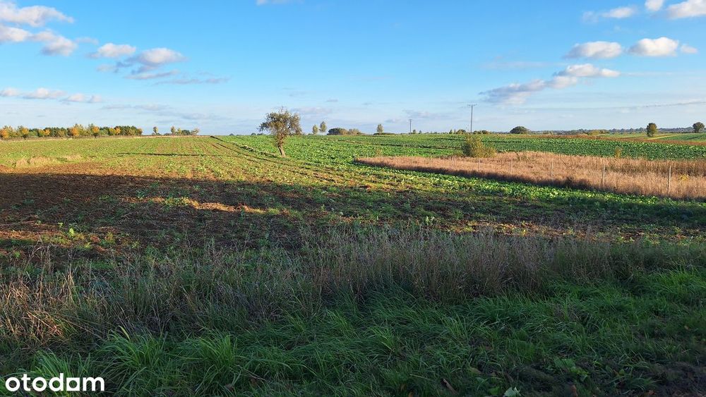 INWESTYCJA_grunt MR_MN_ML_UC_trasa S17_ok. 58 arów_budynek gospodarczy