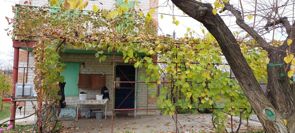 Дача, Соловьиная роща