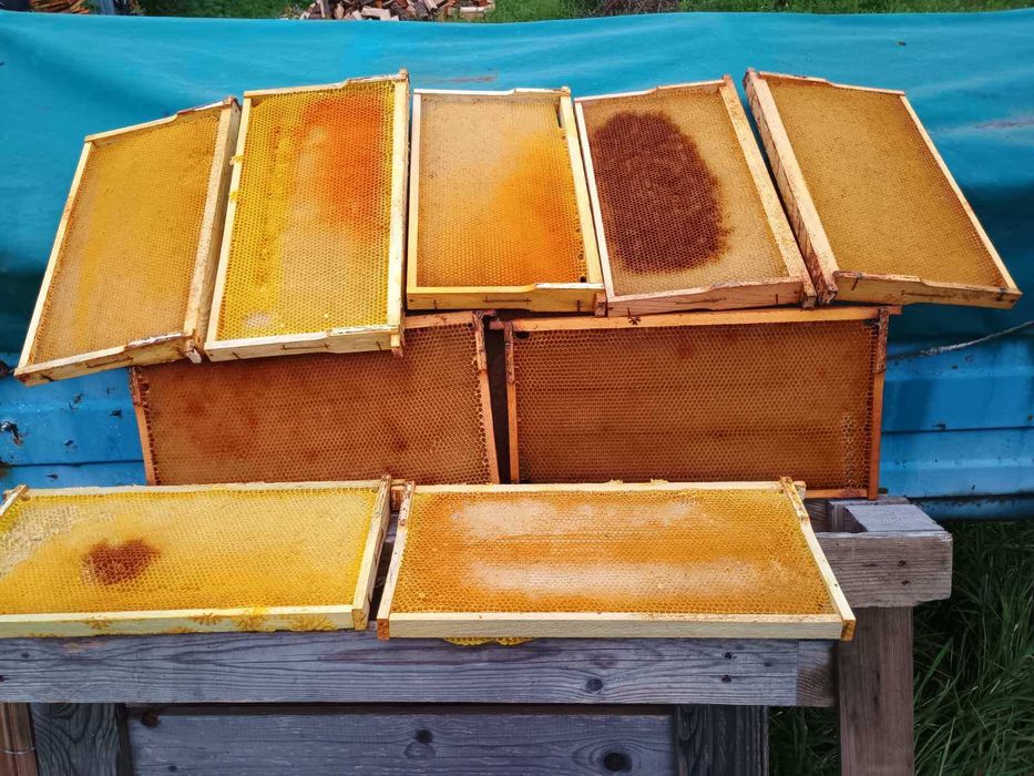 Сушь бджолина рамка Рута 230