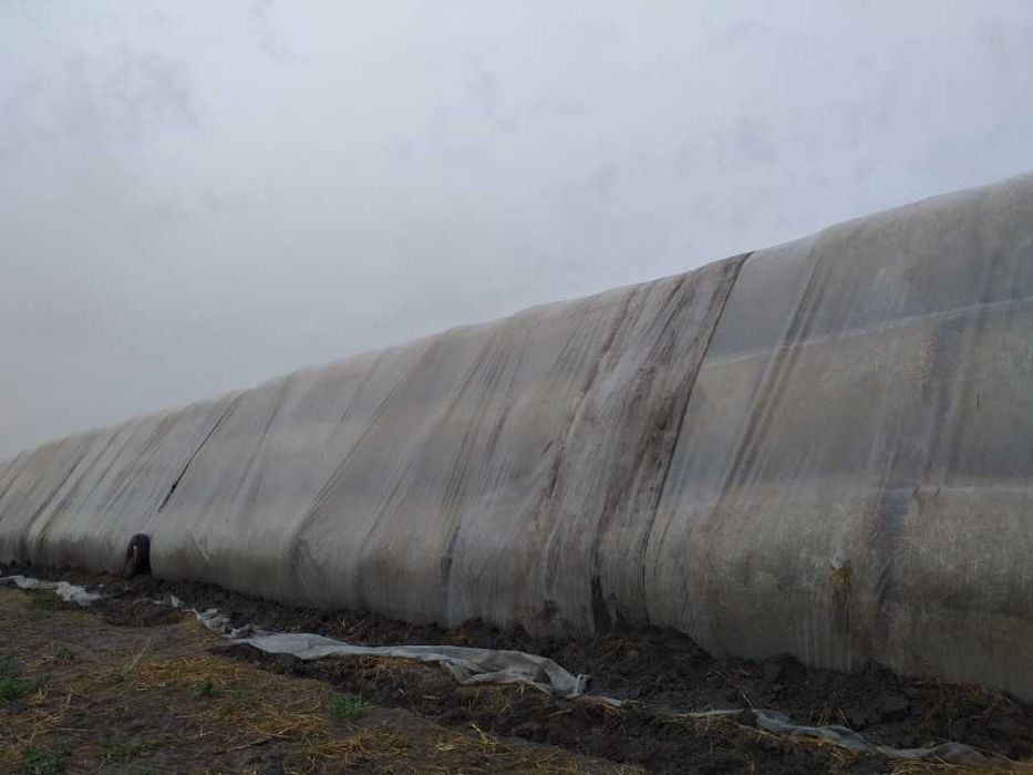 Sprzedam słomę żytnią.