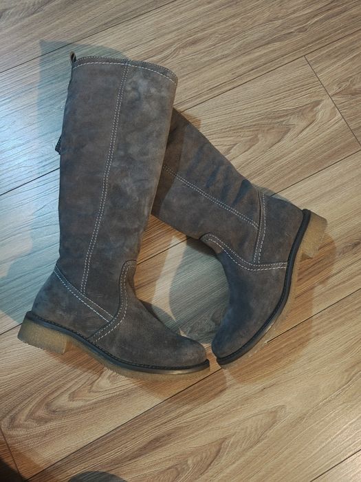 Kozaki Lasocki r.37