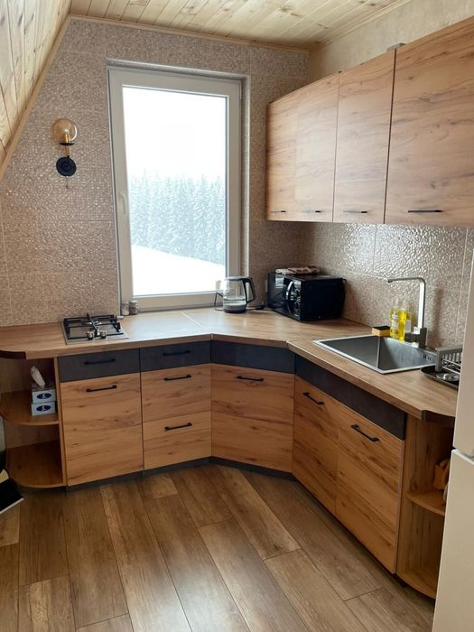 Будинок в горах. Відпочинок в Карпатах.