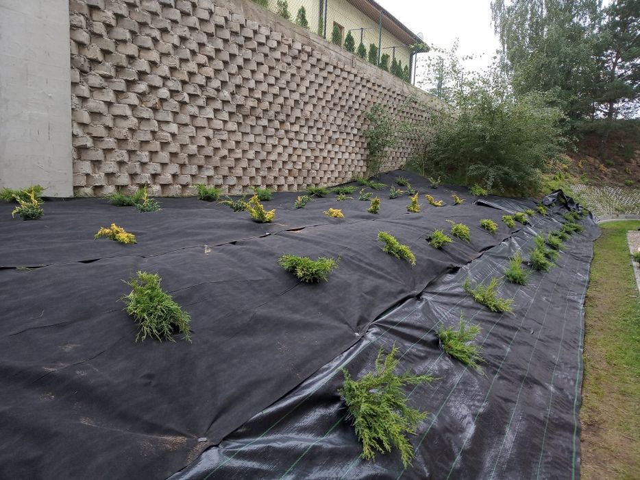 Usługi ogrodnicze  profesjonalne sianie trawy