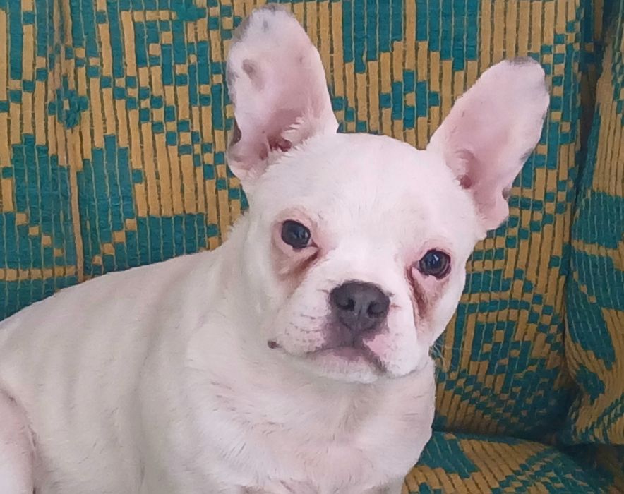 Маленький антидеприсант