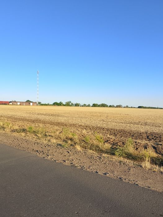 продам 6 га , земли в прилиманском,от хозяина под строительство