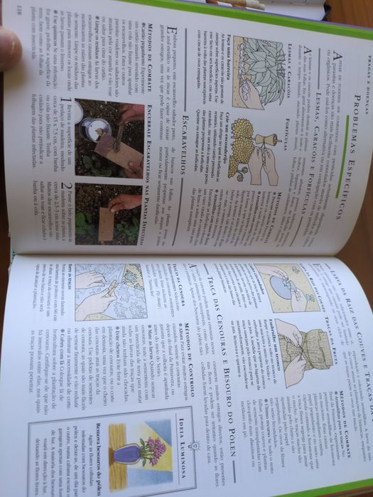 Jardinagem Conselhos e Sugestões de Pippa Greenwood