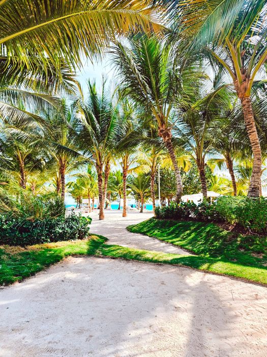 Noclegi w Republika Dominikana nad Morzem Karaibskim