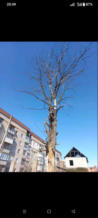 Валка деревьев корчевания пней с вывозом