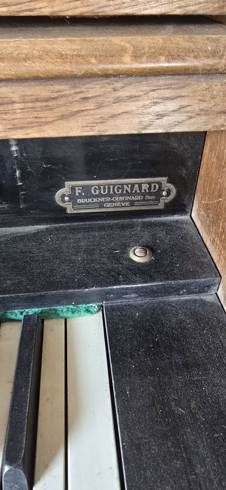 Piano e órgãos centenáris, manuais e outros eletrico. s