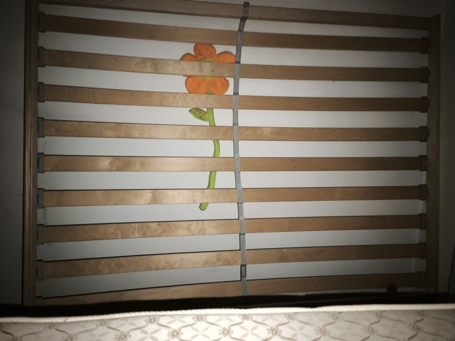 Cama de ferro a imitar o antigo cor verde