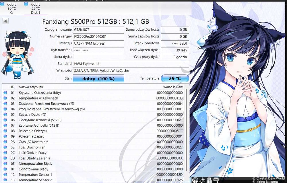 Dysk SSD M.2 512GB Fanxiang S500Pro PCIe Gen 3X4 NVMe 3500/2700 MB/s JAK NOWY!