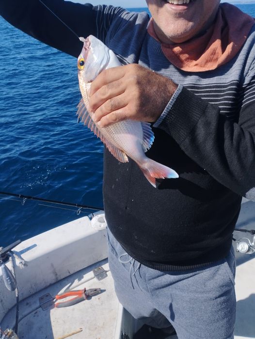 Pesca desportiva, embarcada.