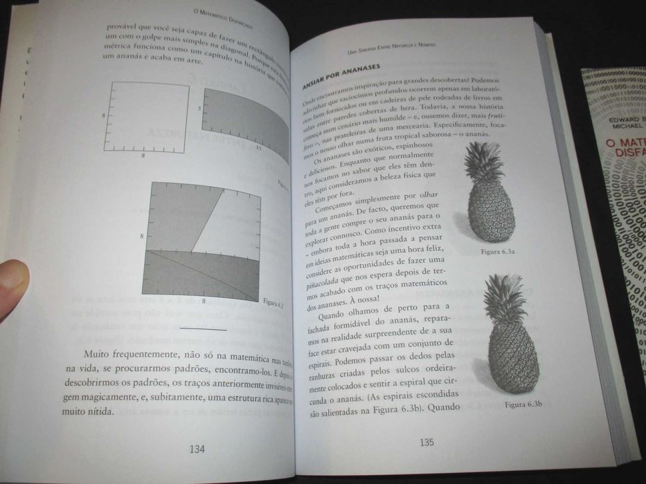 Livro O Matemático Disfarçado Edward B. Burger