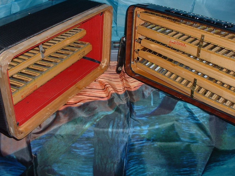 Avenda Acordeao G, .297