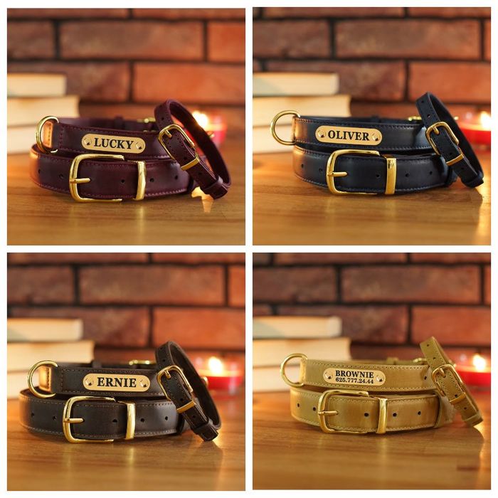 Ошейник и Поводок Золотой Серебряный Кожаный Гравировка Для Собак Кота