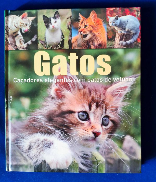 Livro Gatos - Naumann & Göbel (Capa Dura)