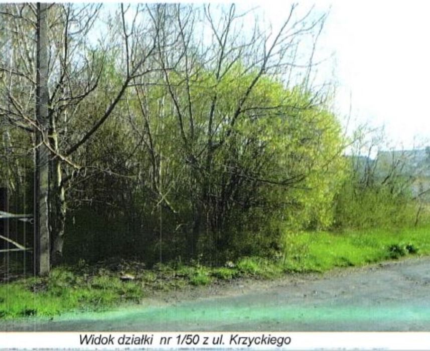 Leszno przy ul. Krzyckiego, działka nr 1/50 o pow. 0,1187 ha