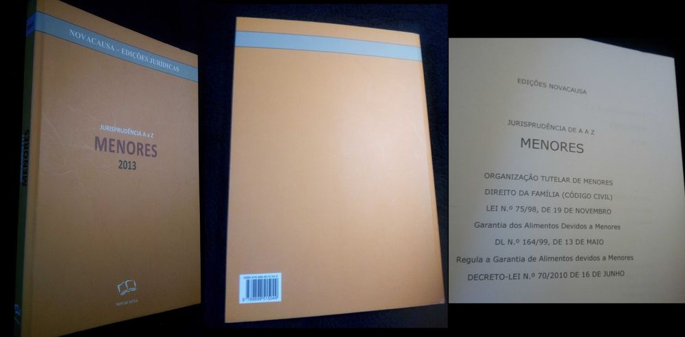 «JURISPRUDÊNCIA de A a Z – Menores – 2013» (ed. NovaCausa)