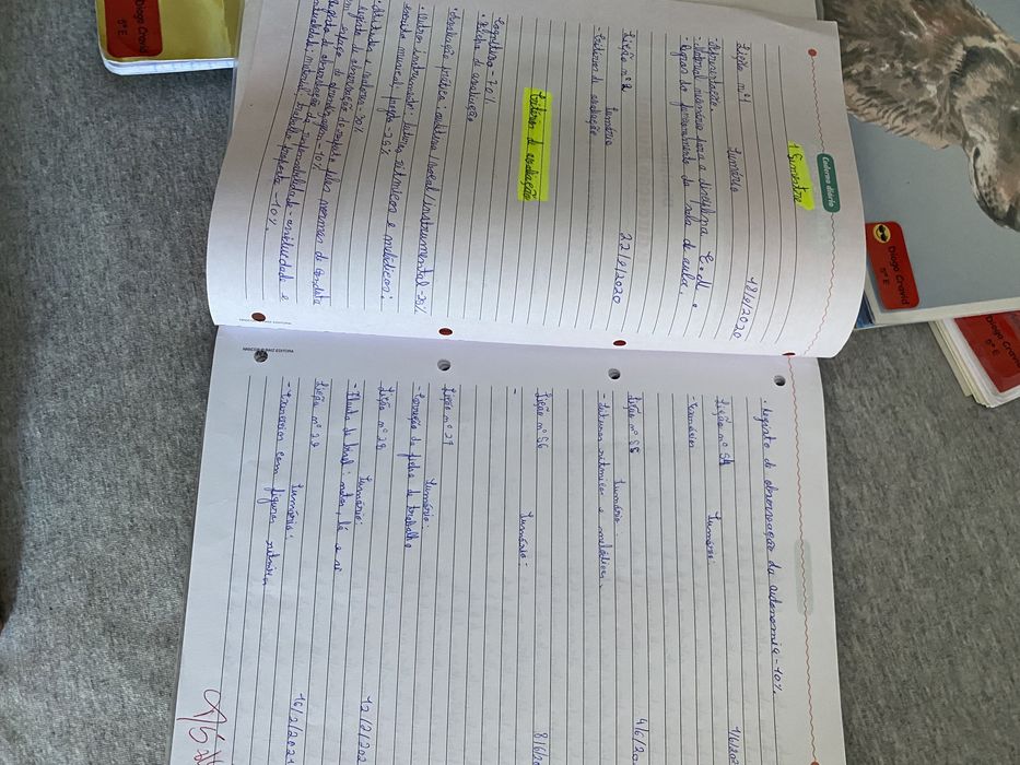 Caderno do aluno - 5o Ano - Novo