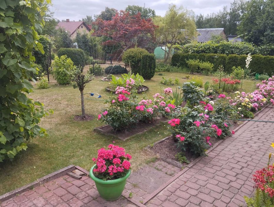 Ogród działkowy na sprzedaż