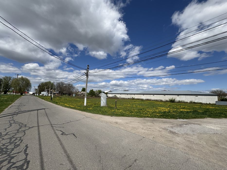 Чабани, вул. Польова 32 сотки