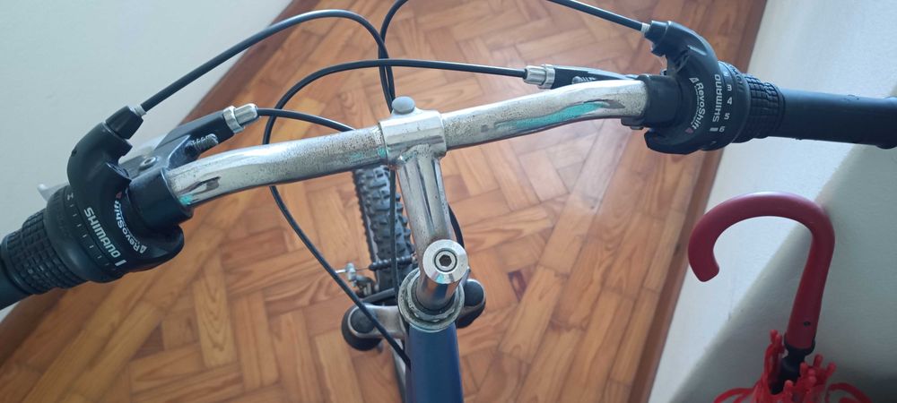 Bicicleta roda24