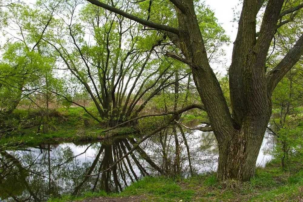 Hotelik Piaseczno 603--295--725 (Warszawa 15km) Pokój 1 osobowy