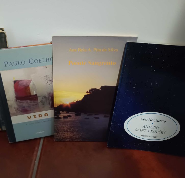 Lote livros diversos