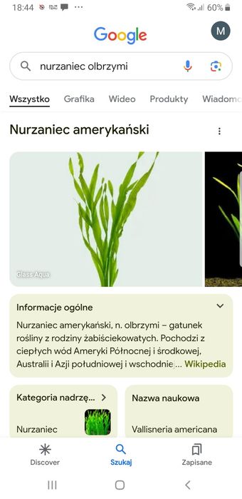 Rośliny do akwariun