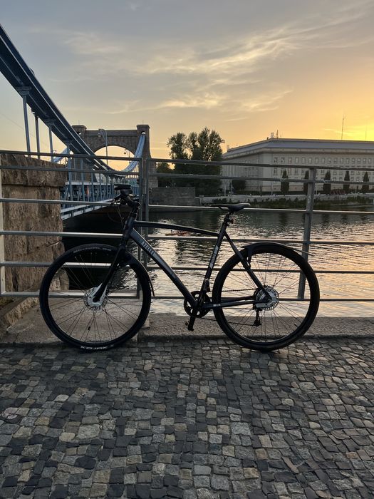 Gazelle Cityzen S9