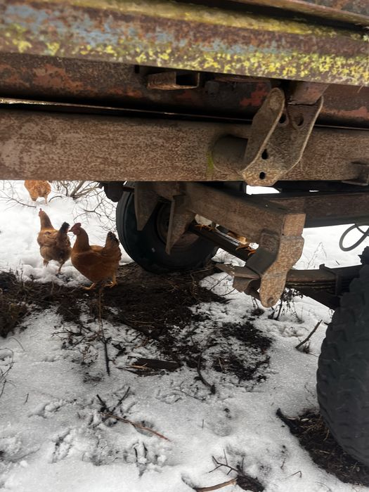 Продам прицеп до Трактора