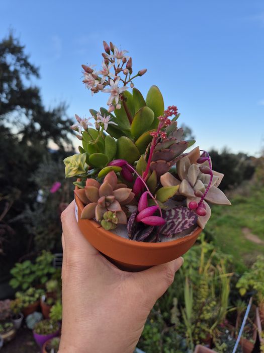 Vaso decorativo 12cm