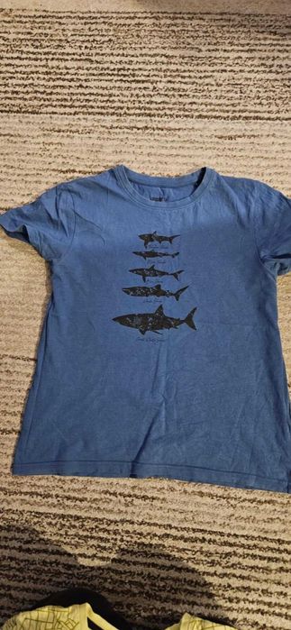 1 x koszula, 2 x polo, 4 x podkoszulek r. 158/164